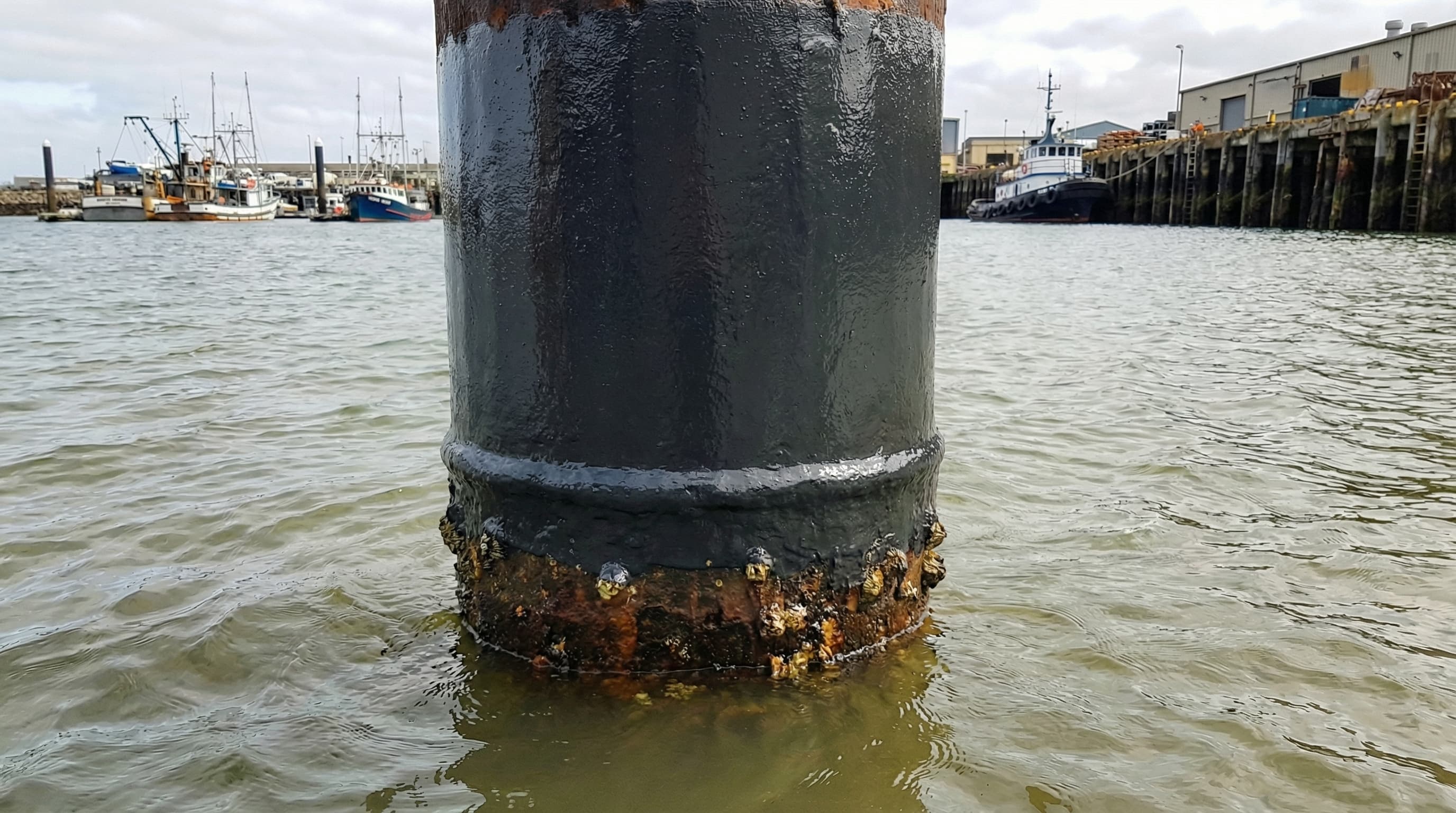 Underwater CURECOAT — after application